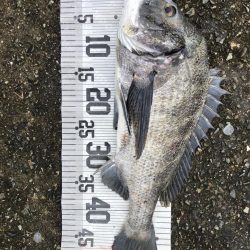 イチノ兄弟、釣果!