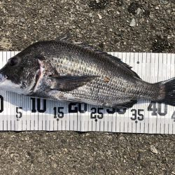 イチノ兄弟、釣果!