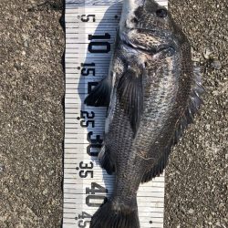 イチノ兄弟、釣果！