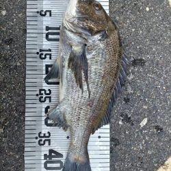 イチノ兄弟、釣果！