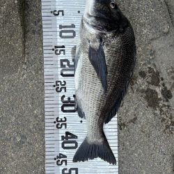 イチノ兄弟、釣果！