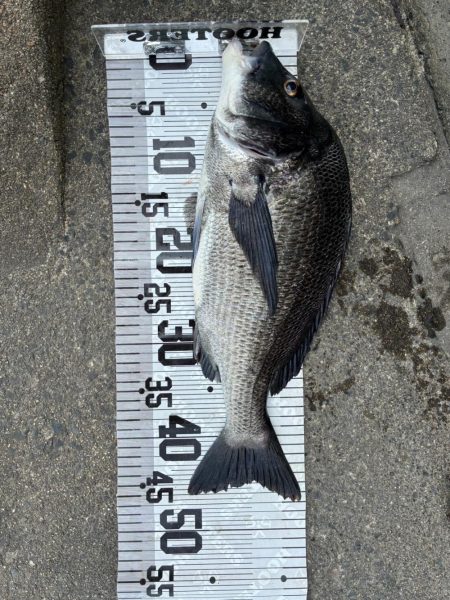 イチノ兄弟、釣果！