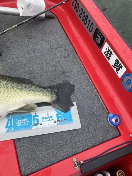 北山田67.5cm 6000g+55cm