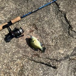 ひさびさの宇治川