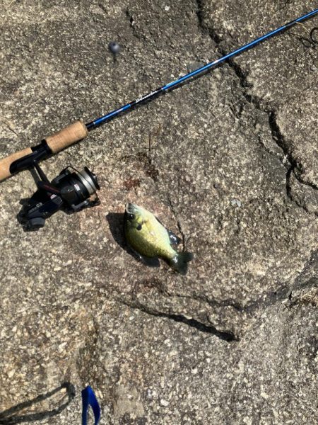 ひさびさの宇治川