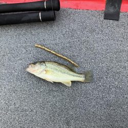 北山田小バスだらけ