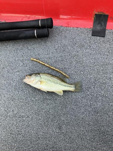 北山田小バスだらけ