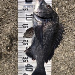 イチノ兄弟、釣果!