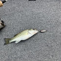 北山田小バス祭り