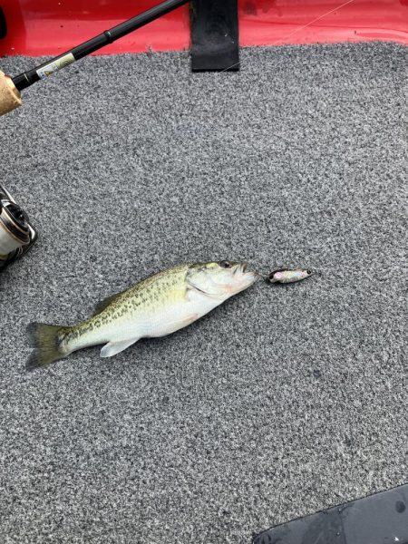 北山田小バス祭り