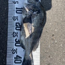 イチノ兄弟、釣果!