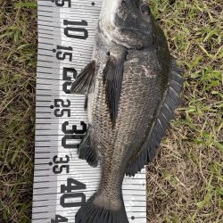 イチノ兄弟、釣果！