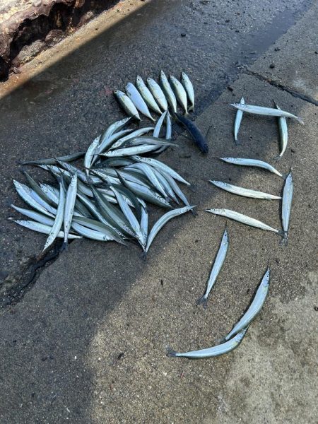 ★★初のトビウオ釣りお土産いっぱい★★