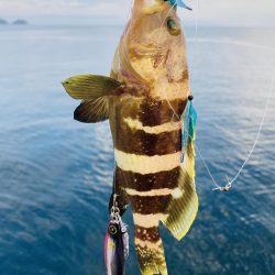 ライトショアジギング