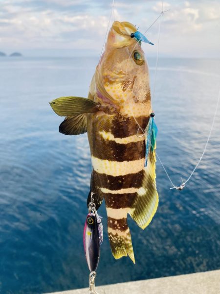 ライトショアジギング