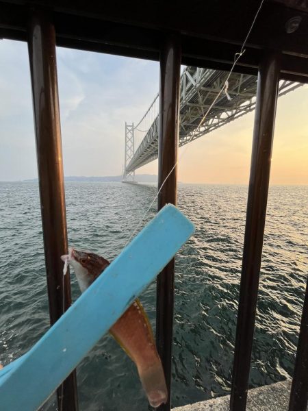 刀狩りしっぱい