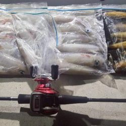 和歌山県白浜沖でイカメタル