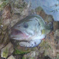 8月18日　一庫ダム釣行