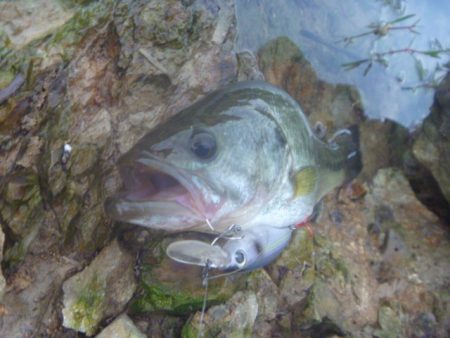 8月18日　一庫ダム釣行