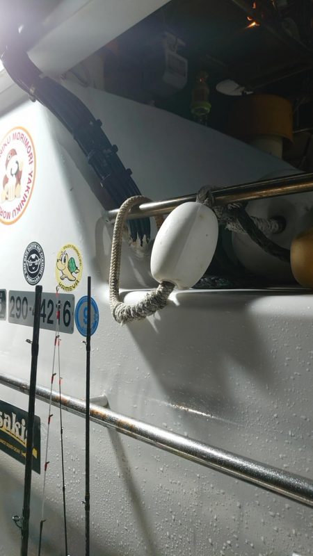 敦賀沖イカメタル