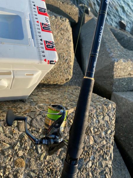 シロギスタ:酷暑の良型、今期自己ベスト22.8cm