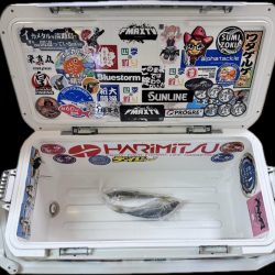 アジ/落とし込み