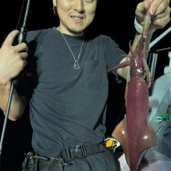 デカイカばっか