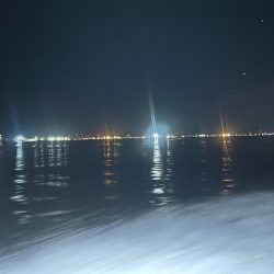 博多湾夏の風物詩