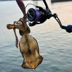 イカ1時間青物1時間その後はポツポツ