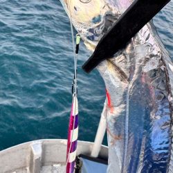 タチウオ/タチウオジギング