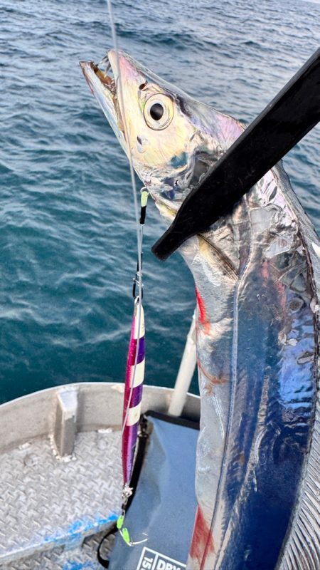 タチウオ/タチウオジギング