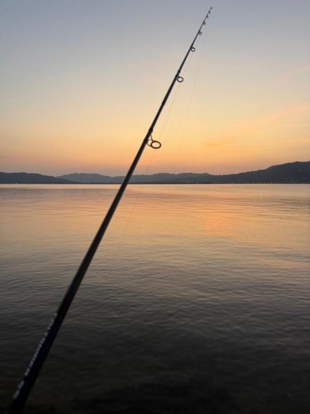 今日は狙い通りツバスでした、が、