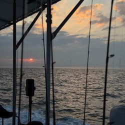 明石ジギング　夏編