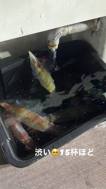 今季ラスト丹後イカメタル