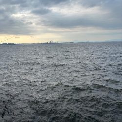 久々の武庫川一文字