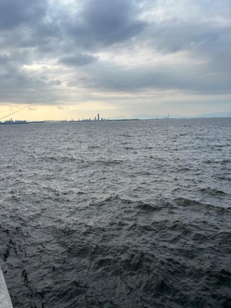 久々の武庫川一文字