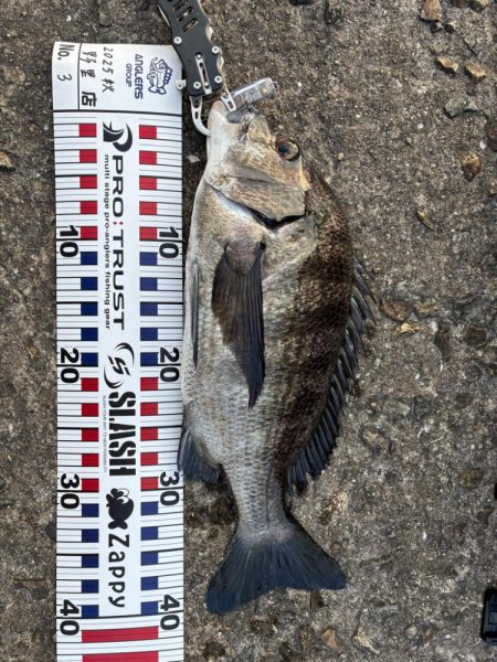 渋めもなんとか2本!