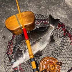 ヘチってきました