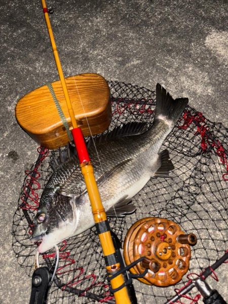 ヘチってきました