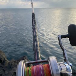 美味しいお魚ゲッチュ