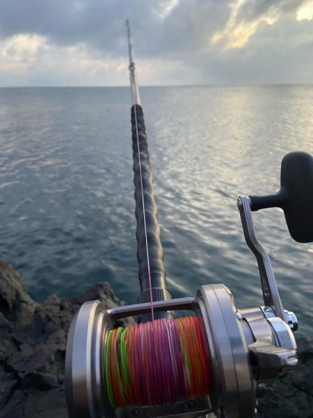 美味しいお魚ゲッチュ