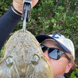 飲まず食わずのチニング
