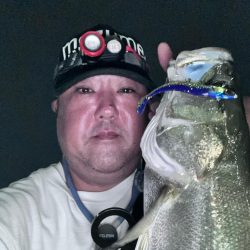 釣れない時はいないんじゃなくてボトムネチリンコ!