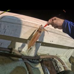 激荒れイカメタル