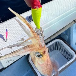 ケンサキイカ/イカメタル・オモリグ