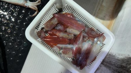 今期ラスト釣行