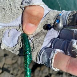 キジハタゲーム