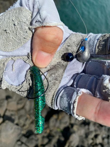 キジハタゲーム