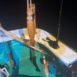 和歌山イカメタル