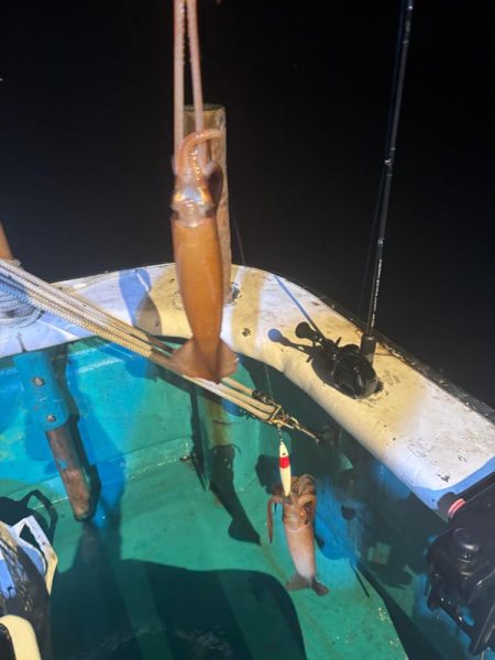 和歌山イカメタル